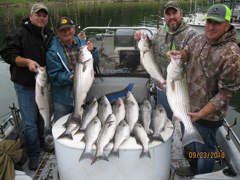 Nice Striped Bass